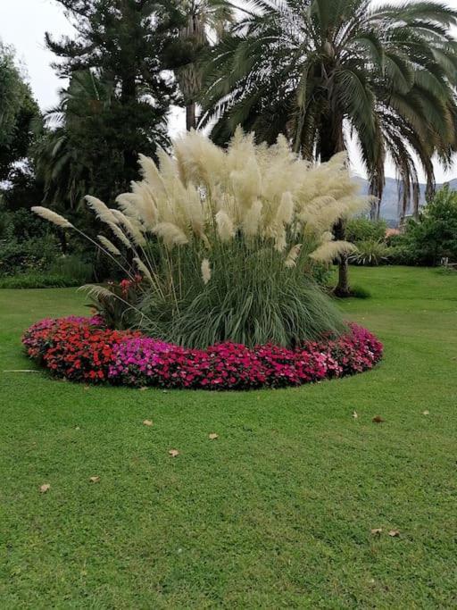 Imperial Palace Bord De Mer Menton Exterior foto